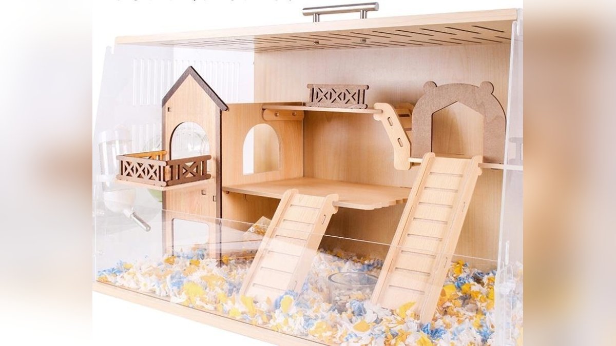 Hamster Cage Setup: Bedding, Wheel & Hideouts