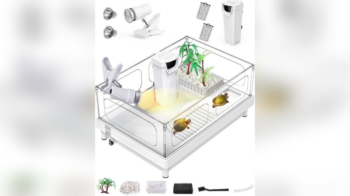 Turtle Tank Setup: UVB, Filtration & Basking Guide